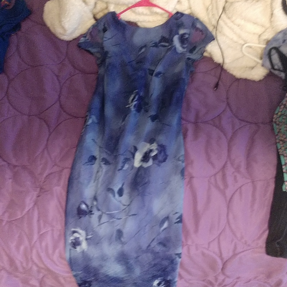 Blue/purple dress